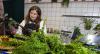 UK’s First Hospital for Houseplants – Where Plants Are Put on Drips and Treated for Bugs