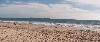High bacteria counts prompt ocean water warnings at top Los Angeles County beaches