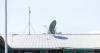 Kacific says BlueWave owes $373,000 as legal notices issued over school internet project