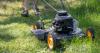 UK Gardeners Warned Never To Do Three Jobs In A Heatwave