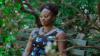 Historian Kerri K. Greenidge and Her Book ‘The Grimkes’ Come Under Fire