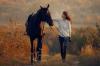 World Horse Day honors humanity’s timeless companion