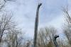 Thailand Unearths Giant New Dinosaur Species Unlike Any Found Before With an Exceptionally Long Neck