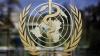 WHO warns cholera outbreak could worsen in Sudan