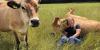 Farming couple distraught as huge solar development to 'cut their land in two'
