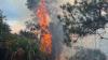 Fire Rescue and Florida Forest Service crews respond to reignited fire