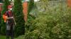 Is Orkin or Aptive better for your home pest needs? We dug in