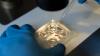 Researchers uncover striking regional differences in sperm quality