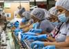 Free trade zones generate up to seven times the value of the incentives granted.