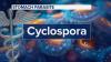 240 cases of cyclosporiasis reported in North Carolina since May