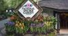 Desert Gardener: Visit Singapore’s National Orchid Garden to see the largest collection on Earth