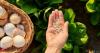 Eggshells aren't kitchen waste. How gardeners use them to help plants thrive
