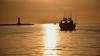 Great Lakes study finds 'forever chemicals' climb the food chain and end up in people