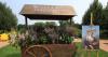 Celebrate French culture at Cantigny’s Voyage en France event July 19