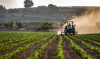 Agricultural statistics will become reliable