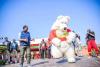 Teddy Bear Becomes UPND Campaign Trademark as Lusaka Rural Roars