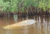 15 dead after tourist boat capsizes near Vietnam's Phu Quoc Island