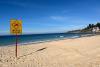 After Great White Shark attack, Australia's most populated state doubles down on drone shark patrols