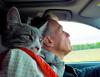 Traveling with your best buddy