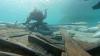 Spain raises its first intact Roman ship from the seabed off Mallorca, recovering 600 artifacts