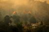 Rapidly growing wildfire in Los Angeles forces evacuations amid intense heatwave