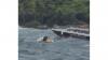 Vietnam boat tragedy: 15 Indians killed near Phu Quoc Island