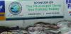 Mississippi Deep Sea Fishing Rodeo Celebrates Family, Fishing, & Tradition
