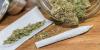Cannabis use in older adults not linked to faster cognitive decline or dementia