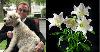 Robert Gray Betzer, 82, of Elkhorn – Obituary