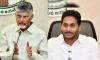 Andhra Pradesh Neta Natter | Naidu Imbibes Vatican To Slam Jagan