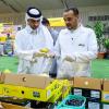 Product safety measures strengthened at Pakistani mango exhibition in Souq Waqif