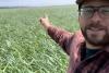 Oregon planted marram grass to hold dunes in place, and now it's taking over the coast