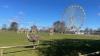 Fota Wildlife Park planning animal enclosure upgrades with new boardwalk and viewpoints
