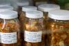 The science of fermented food