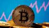 Digital assets chief urges 'careful' review of cryptocurrency after discussion with Mufti Usmani