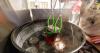 Trust the science, preserve food with confidence 