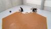 Sticky sweet tribute, why Dutch Art Museum covers gallery floor in 390kg of peanut butter