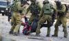 Palestinian injured in Israeli assault at Al-Jalama checkpoint