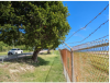 Airport Authority undertakes crucial vegetation management exercise this weekend as Airfield Upgrade enters final phase