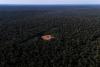 Amazon rainforest deforestation hits lowest level in a decade