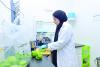 Oman boosts agricultural quarantine measures to protect food supply chain