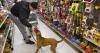 Largest pet retailer in US is closing its only San Francisco store