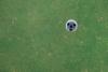 Brown, Bettinger Represent Wyoming at PGA National Invitational
