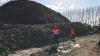 Te Puke scrap metal yard fined $84k after heavy metal contamination