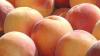 North Carolina peach season offers smaller, sweeter harvest