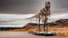 T. rex could become most expensive fossil ever - but it's a ​problem for scientists