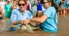 From fishing line to starting line: Girl Power returns to the ocean — green sea turtle beats survival odds