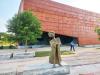 Art Beyond the Elites