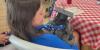 18 dogs, one bunny graduate from pet therapy program on the Mississippi Gulf Coast