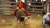 Black Rodeo Legacy takes center stage at Mississippi Coliseum